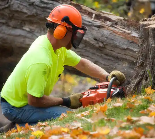 tree services Wauneta